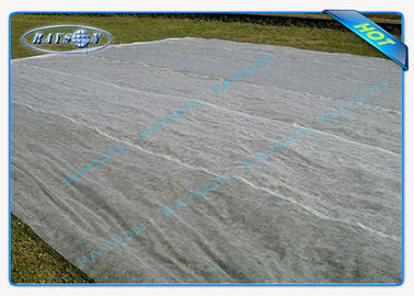 Air Permeable Non Woven Fabric Landscape Perlindungan UV Untuk Pertanian Mulsa